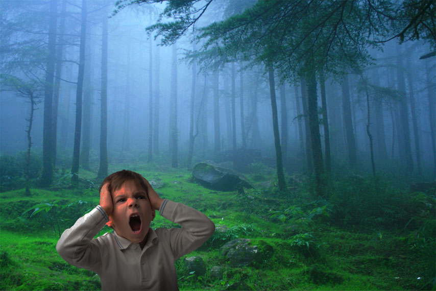 [-]Tiếng[-]vọng[-]cuộc[-]đời